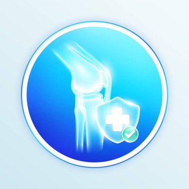 Sağlık hizmeti diz eklemi insan iç organları. Mavi kalkanda tıbbi semboller ve yeşil düğmede işaretler. Gıda ve ilaç ürünleri tasarımı etiketleri. Vektör EPS10.