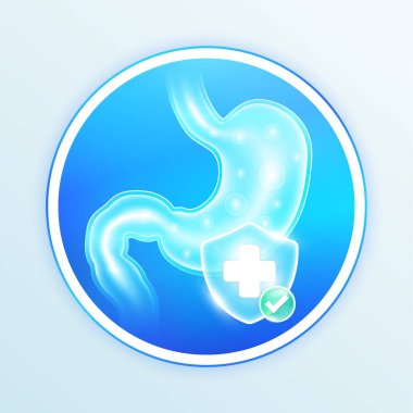 Sağlık hizmetleri, insan iç organları. Mavi kalkanda tıbbi semboller ve yeşil düğmede işaretler. Gıda ve ilaç ürünleri tasarımı etiketleri. Vektör EPS10.