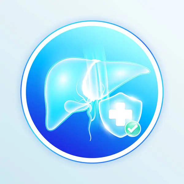 Gesundheitswesen Leber Menschliche Innere Organe Medizinisches Symbol Kreuz Blauen Schild Vektorgrafiken