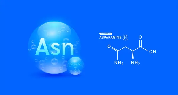 stock vector Alanine amino acid blue and chemical formula structural. Biomolecules that combine to form proteins nutrients necessary for health muscle. For dietary supplements ads. Medical scientific. Vector.