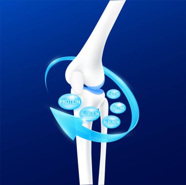 Mavi oklarla çevrili kemik eklem kıkırdağı. Protein enzimi Albumin Globulin ve Casein. Sağlıklı insan iskeleti anatomisi karanlık arka planda izole edilmiş. Gerçekçi 3B vektör.