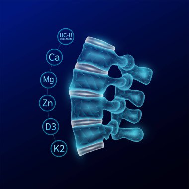 Omurga yarı saydam çokgen stili kolajen vitaminler ve minerallerle çevrili kalsiyum çinko magnezyum koruyucu ve kemik omurga eklemi kıkırdağı. Mavi arka planda. Vektör EPS10.