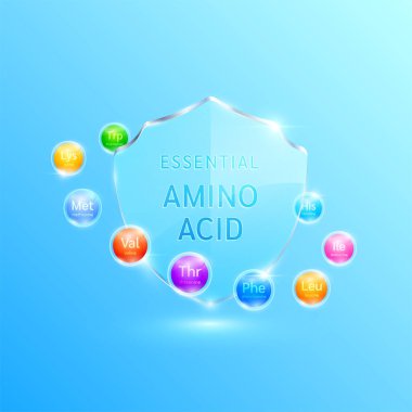 Temel amino asitle çevrili yarı saydam cam kalkan modern. Tasarımsal diyet ürünleri reklamları için. Mineraller vitamin kompleksi. Sağlık hizmetleri dokunulmazlığı konsepti. Vektör.