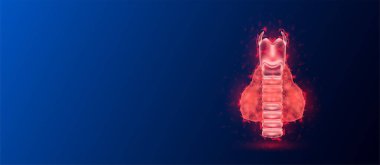 Koyu mavi arka planda insan tiroid bezi anatomisi kırmızı yarı saydam düşük çoklu üçgenler. Geleceği parlak organ hologramı ve metin için kopyalama alanı. Tıp ve bilim konsepti. Sancak tasarım vektörü.
