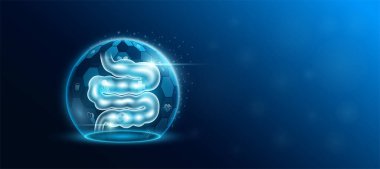 Kubbe kalkanının içindeki ince bağırsak insan organı fütüristik ve tıbbi ikonu şeffaf. Teknoloji yenilikçi sağlık hizmetleri. Tıp bilimi reklamları web sitesi afişi ve mesaj için boş bir yer. Vektör.