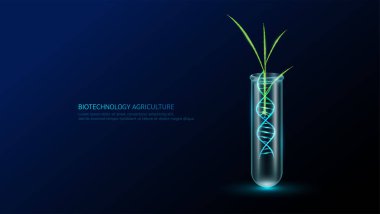Yeşil buğday pirinç tohumları DNA sarmal yapısı neon çokgen cam test tüpünde. Tarımsal tarım endüstrisinde biyoteknoloji. Bilimsel bitki gelişimi genetik deneyi. Vektör illüstrasyonu.