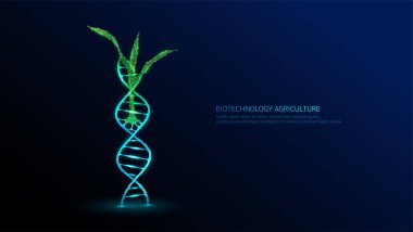 DNA sarmal yapısı neon çokgenli yeşil tohumlar. Tarımsal tarım endüstrisinde biyoteknoloji. Bilimsel bitki gelişimi genetik deneyi. Vektör illüstrasyonu.