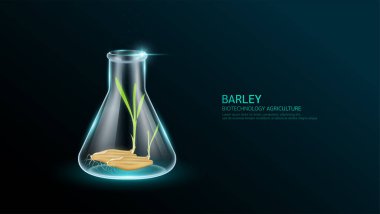 Şeffaf cam deney tüpündeki tohumlardan yeşil arpa filizleri çıkıyor. Pirinç yetiştirme genetik deneyi. Tarımsal tarım endüstrisinde bilimsel biyoteknoloji kullanılıyor. Vektör.