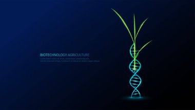 Yeşil buğday pirinç fideleri DNA sarmal yapısı neon çokgen. Tarımsal tarım endüstrisinde biyoteknoloji. Bilimsel bitki gelişimi genetik deneyi. Vektör illüstrasyonu.