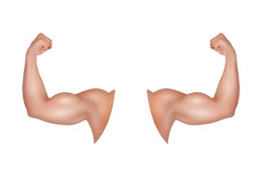 Güçlü pazıları olan bir erkek kolu. Sağlıklı güç. Sporcunun gergin kasları. Sporcunun açık kahverengi eli. Spor ve sağlık konsepti. Beyaz bir arka planda. 3B vektör EPS10