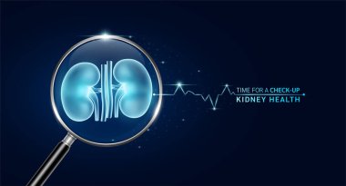 Böbrek büyüteç içinde tarama taraması yapılıyor. Sağlık hizmetleri tıbbi kontrolleri çok yenilikçi, fütüristik dijital teknoloji. Vücut sağlığı kontrolü, muayene organı ve mavi parlak neon kalp atışı. Vektör.