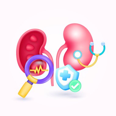 Doktordan böbrek sağlığı kontrolü. Sarı kalp atışı büyüteç görünümlü böbrek teşhisi ve kalkan sembolü çapraz, işaret düğmesine bak. Sağlık hizmetleri. 3d simge organ anatomisi karikatür vektörü.