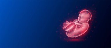 Çocuk bebek kırmızı yarı saydam düşük çoklu üçgenler koyu mavi arkaplan ve metin için boşluk. Organ anatomisi bebek gelecekteki parlayan hologramı. Tıp ve bilim konsepti. Sancak tasarım vektörü.