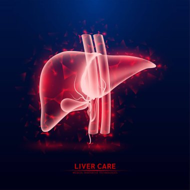 İnsan karaciğeri anatomisi kırmızı çizgi üçgenleri koyu mavi arkaplana bağlanıyor. Geleceğin parlayan organı hologramı şeffaf. Yenilikçi teknoloji. Sağlık sigortası ve bilim konsepti. Vektör.