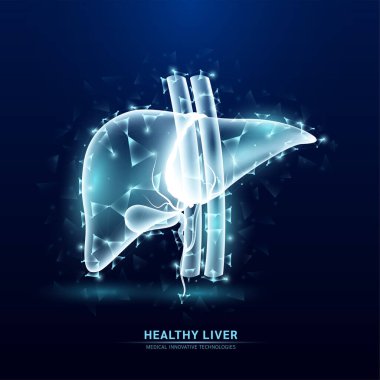 İnsan karaciğeri anatomisi beyaz çizgi üçgenleri koyu mavi arkaplana bağlanıyor. Geleceğin parlayan organı hologramı şeffaf. Yenilikçi teknoloji. Sağlık sigortası ve bilim konsepti. Vektör.