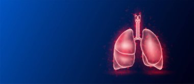 Koyu mavi arka planda insan akciğer anatomisi kırmızı yarı saydam düşük çoklu üçgen. Geleceği parlak organ hologramı ve metin için kopyalama alanı. Tıp ve bilim konsepti. Sancak tasarım vektörü.