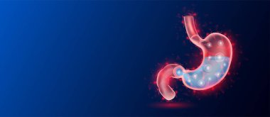 Koyu mavi arka planda insan midesi anatomisi kırmızı yarı saydam düşük çoklu üçgenler. Geleceği parlak organ hologramı ve metin için kopyalama alanı. Tıp ve bilim konsepti. Sancak tasarım vektörü.