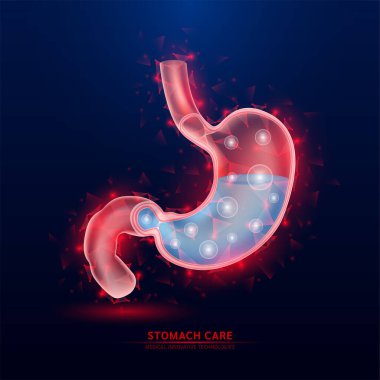 Koyu mavi arka planda insan midesi kırmızısı yarı saydam düşük polyester üçgenler. Geleceğin parlayan organ anatomisi. Kalp sağlığı yenilikçi teknolojisi. Tıp ve bilim konsepti. Vektör EPS10.