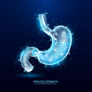 Koyu mavi arka planda insan midesi beyaz yarı saydam düşük polyester üçgenler. Geleceğin parlayan organ anatomisi. Kalp sağlığı yenilikçi teknolojisi. Tıp ve bilim konsepti. Vektör EPS10.
