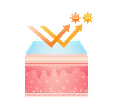 Ultraviyole ışınlarınızı ve serumunuzu koruyan ultraviyole ışınları. Korunmadan sonra ultraviyole ışınlar. Cilt bakımı için vitamin kremi beyazlatan kozmetik ürünler tasarımı. Vektör EPS10 illüstrasyonu.