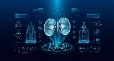 Sanal arayüz hologram stiline sahip böbrek sağlığı teknolojisi. Röntgen ve MRT insan vücudu muayenesi. HUD, UI ve GUI ile tıbbi tanı. Fütüristik laboratuvarda analiz. Vektör EPS10.