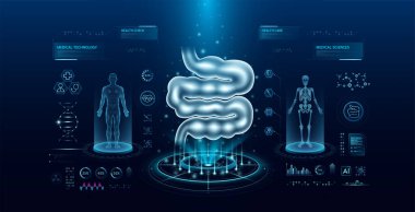 Sanal arayüz hologram stiline sahip ince bağırsak sağlık teknolojisi. Röntgen ve MRT insan vücudu muayenesi. HUD, UI ve GUI ile tıbbi tanı. Fütüristik laboratuvarda analiz. Vektör EPS10.