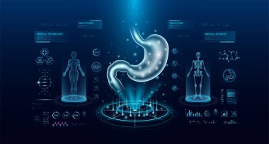 Sanal arayüz hologram stiline sahip mide sağlığı teknolojisi. Röntgen ve MRT insan vücudu muayenesi. HUD, UI ve GUI ile tıbbi tanı. Fütüristik laboratuvarda analiz. Vektör EPS10.