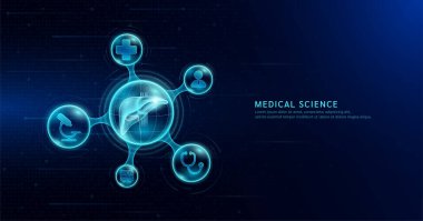Şeffaf molekülün içinde insan karaciğer organı. İkona edilmiş doktor ilacı steteskopu ve koyu mavi dijital teknoloji arkaplanı. Tıp bilimi. Vektör EPS10.