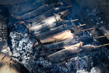 Izgara yayın balığı veya inihaw na hito veya pantat