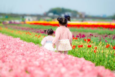 Küçük kızlar lale çiçeklerinin bahçesinde geziniyorlar.. 