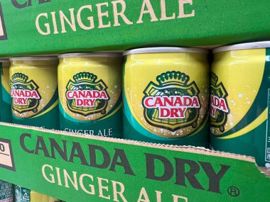 Kanada Zencefilli Birası süpermarketin rafında küçük kutularda