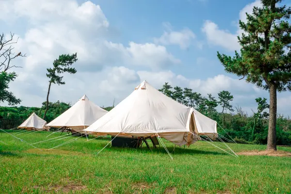Açık hava yaşam tarzının özünü yansıtan canlı bir mavi gökyüzünün altına kurulmuş doğa çadırlarıyla manzaralı bir kamp alanı..