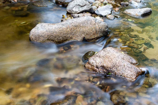 Sierra de Guadarrama 'daki vahşi su akıntısı, Madrid, İspanya