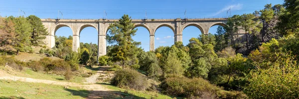 Железнодорожный Мост Который Пересекает Реку Кофио Сьерра Гвадаррама Мадрид — стоковое фото