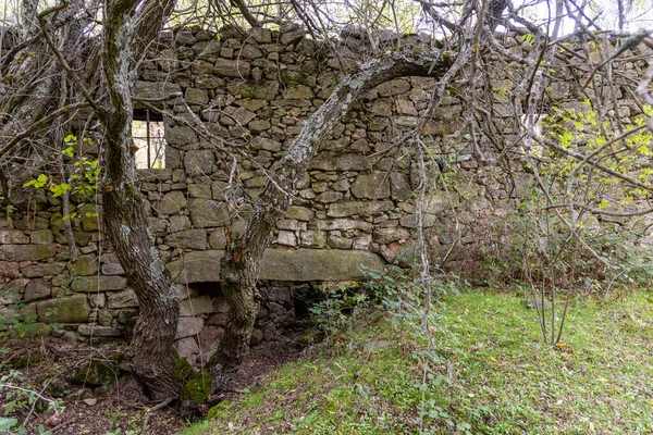 Руины Водяных Мельниц Реке Кофио Горах Гуадарама Мадриде Испания — стоковое фото