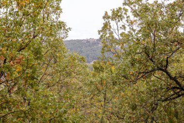 ilk sonbahar renkleri Rascafria 'da Guadarrama, Madrid dağlarında