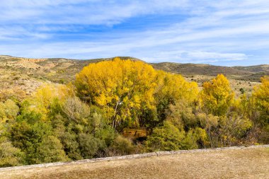 Madrid 'in zeytin dubası olarak bilinen bölgesinde sonbaharın ilk renkleri