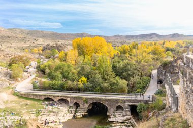 Madrid 'in zeytin dubası olarak bilinen bölgesinde sonbaharın ilk renkleri