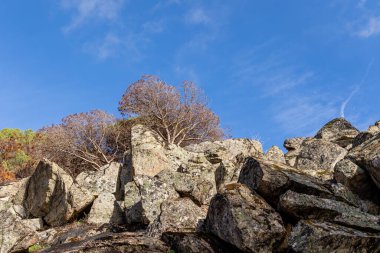 İspanya 'nın Avila ilindeki Hoyo de Pinares kasabasında çıkan yangınlardan sonra,