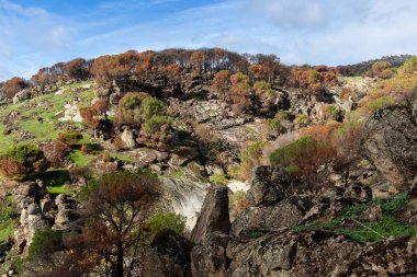 İspanya 'nın Avila ilindeki Hoyo de Pinares kasabasında çıkan yangınlardan sonra,