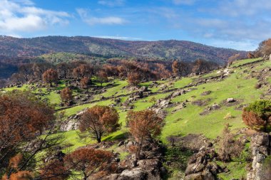 İspanya 'nın Avila ilindeki Hoyo de Pinares kasabasında çıkan yangınlardan sonra,