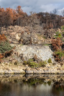 İspanya 'nın Avila ilindeki Hoyo de Pinares kasabasında çıkan yangınlardan sonra,