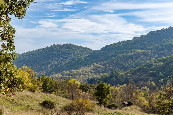 stock image chestnut forest in Rozas de Puerto Real in the province of Madrid, Spain