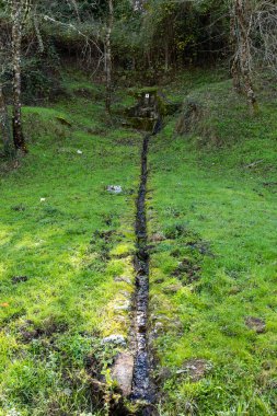 Madrid, İspanya 'da Rozas de Puerto Real' deki kestane ormanında çeşme.