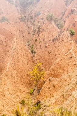 Yüzyıllar boyunca İspanya 'nın Guadalara ve Madrid eyaletleri arasında 