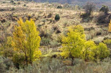 Madrid bölgesi Ponton de la Oliva olarak bilinir. 1880 'den beri kullanılmayan ve terk edilmiş bir su deposu vardır.