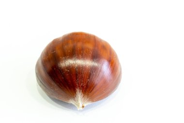 Avila, İspanya 'nın El Tiemblo bölgesindeki kestaneler