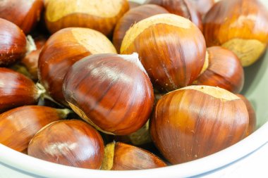 Avila, İspanya 'nın El Tiemblo bölgesindeki kestaneler