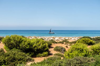 Sancti Petri, Cadiz, İspanya 'daki La Barrosa plajına erişim sağlayan kum tepeleri.