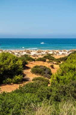 Sancti Petri, Cadiz, İspanya 'daki La Barrosa plajına erişim sağlayan kum tepeleri.